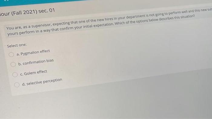 our (Fall 2021) sec. 01 You are, as a supervisor,