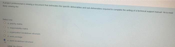 A project professional is vewing a document that