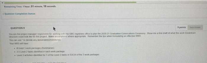 You are the project manager responsible for