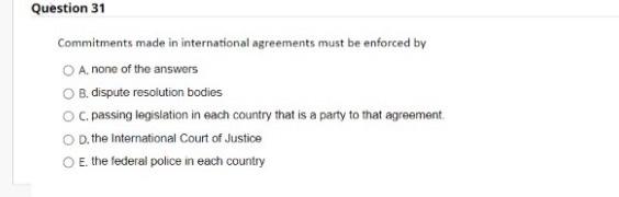 Question 31 Commitments made in international