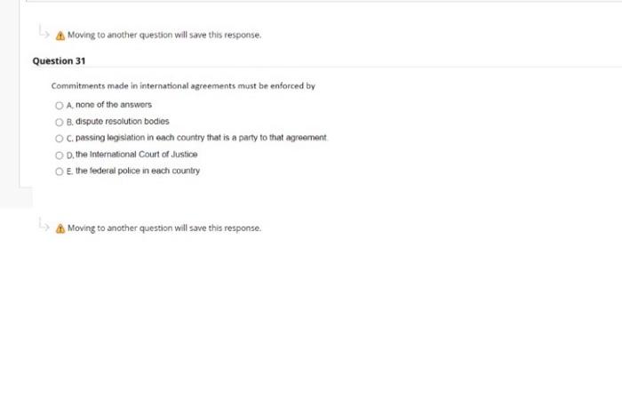 Question 31 Commitments made in international