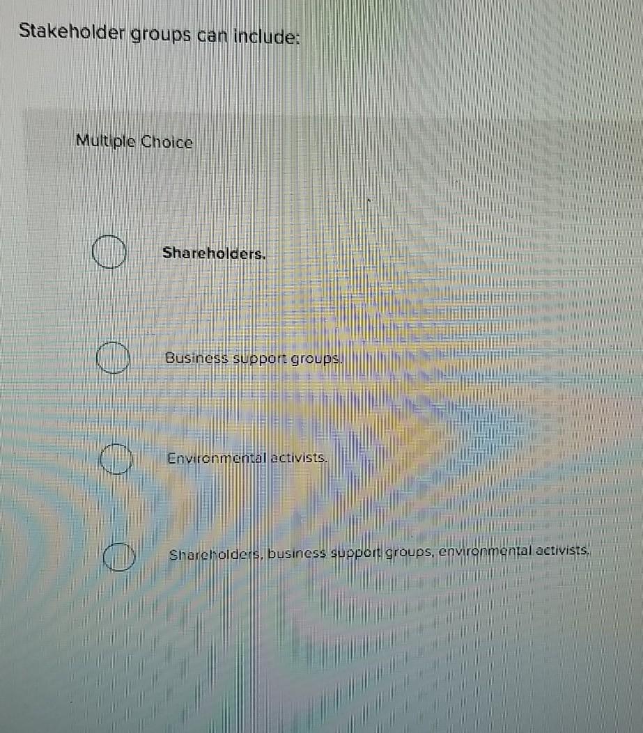 Stakeholder groups can include: Multiple Choice