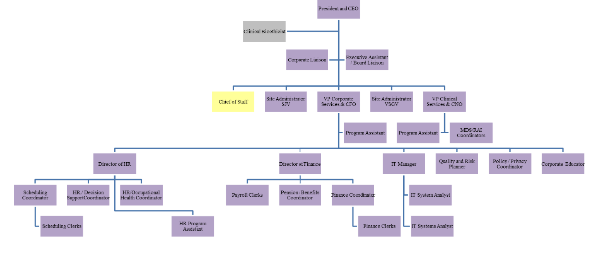 Organization is a hospital. Organizational chart