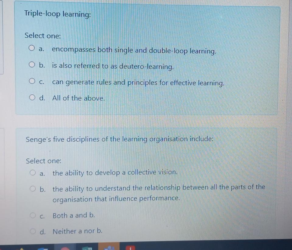 organizational change management Triple-loop