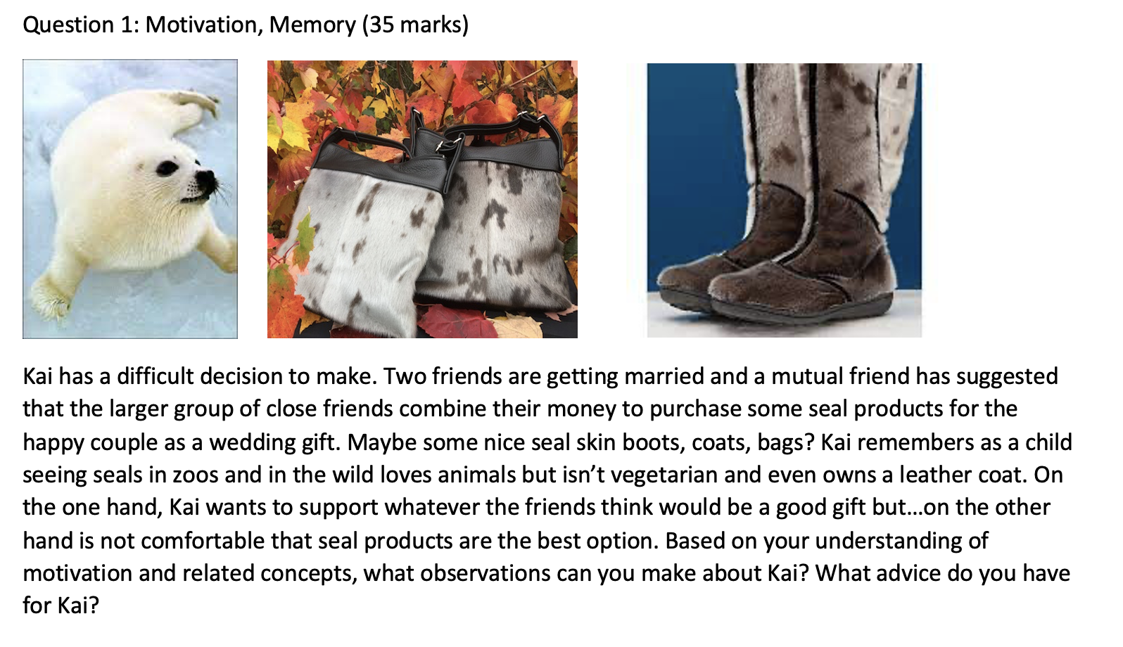 Question 1: Motivation, Memory (35 marks) a Kai