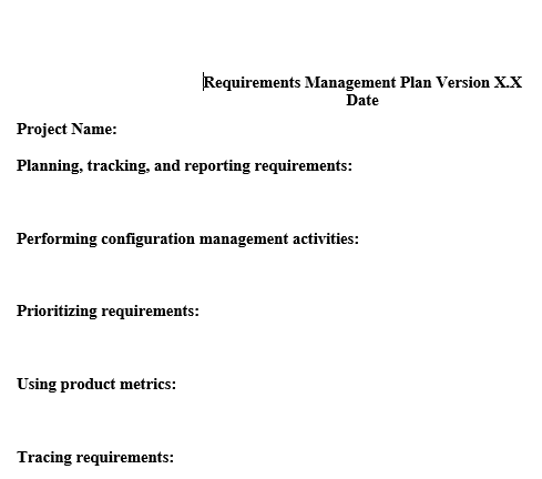 Develop a Risk Management Plan for project in the
