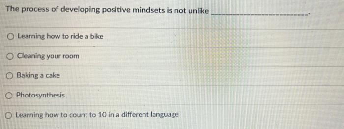 23 The process of developing positive mindsets is