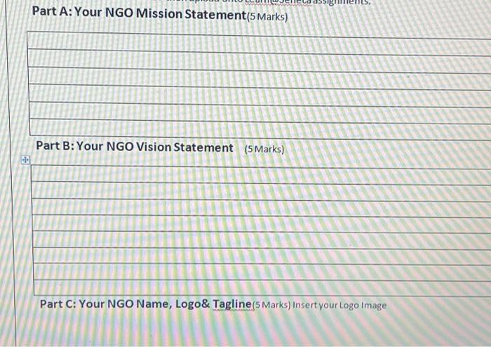 Write about ngo mission statement and vision