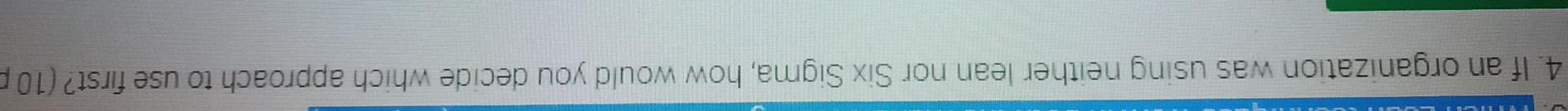 4. If an organization was using neither lean nor
