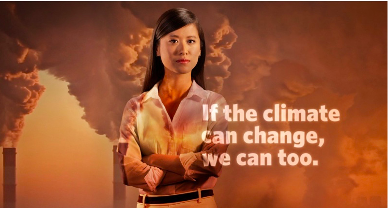 For the following pictures, summarize the