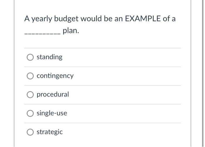 A yearly budget would be an EXAMPLE of a plan.