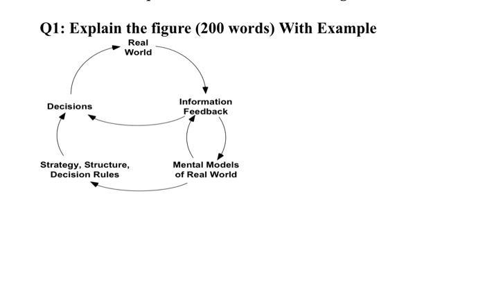 please explain in 300 words, thank you. Q1: