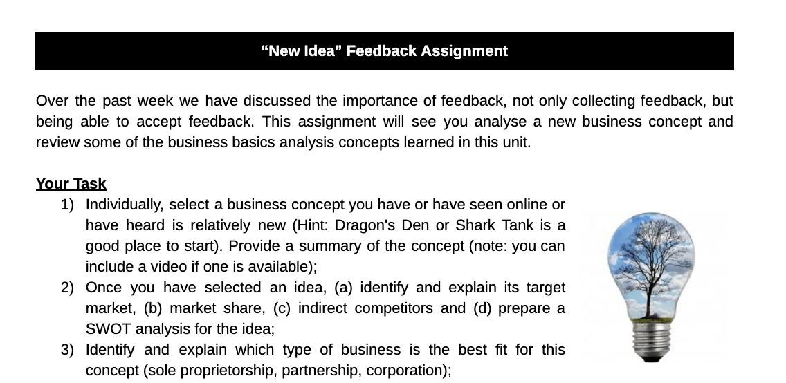 Grade 12 Entrepreneurship Assignment "New Idea"