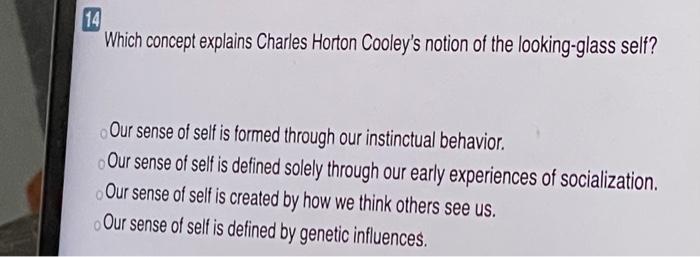 13 In which stage in the development of the self