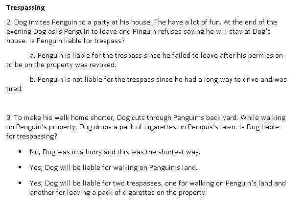 Trespassing 2. Dog invites Penguin to a party at