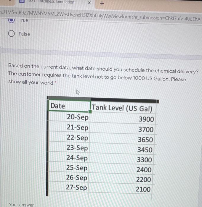 TEST I Business Simulation x +