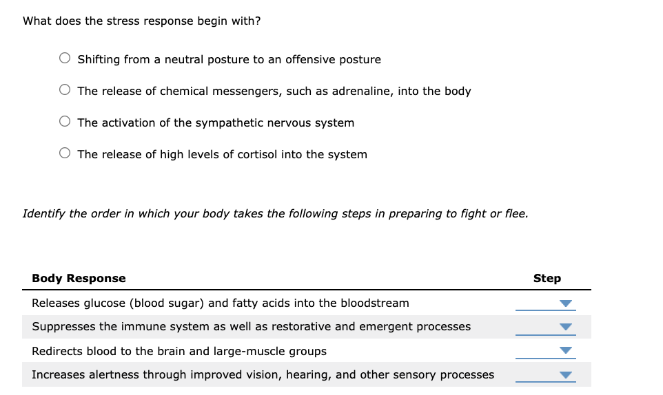 What does the stress response begin with? O