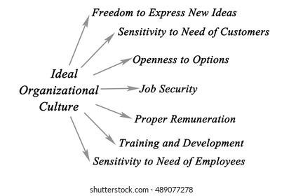 Explain ideal organizational culture? explain its