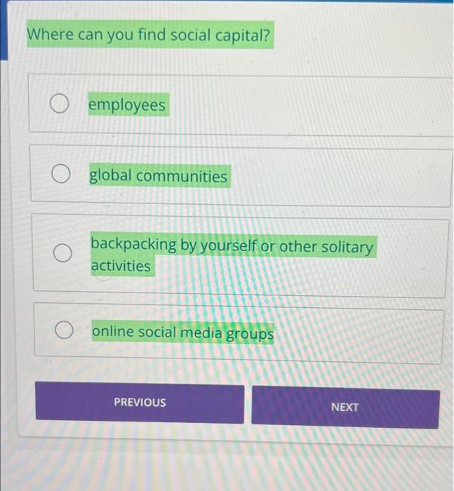 Where can you find social capital? O O employees