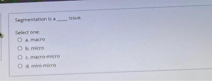 Segmentation is a issue. Select one: O a. macro