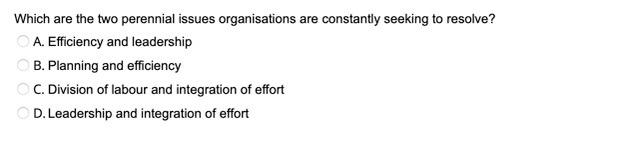 Which are the two perennial issues organisations