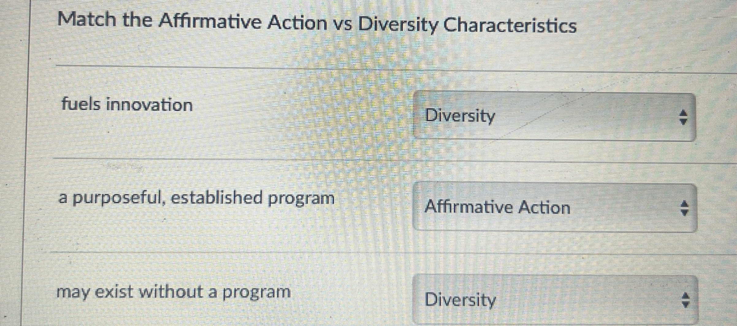 Match the Affirmative Action vs Diversity
