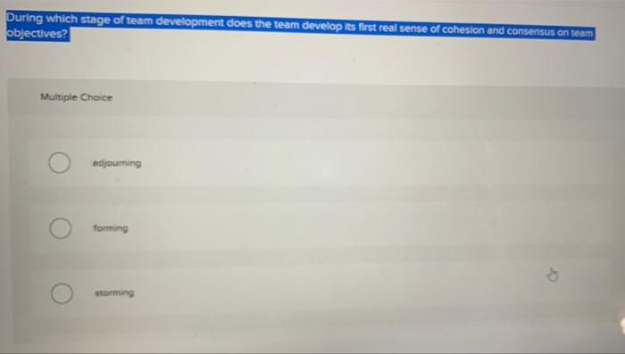 During which stage of team development does the