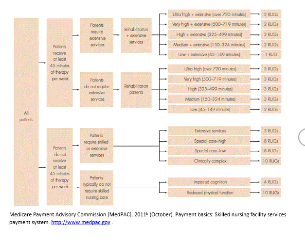 Case 2 Only please RUG Activity Case 1: Assign a
