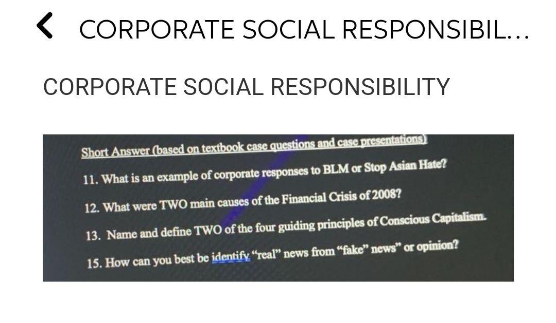 < CORPORATE SOCIAL RESPONSIBIL... CORPORATE