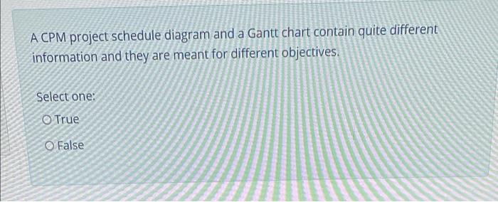 A CPM project schedule diagram and a Gantt chart
