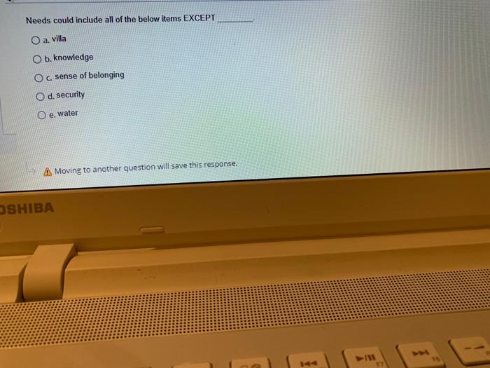 Needs could include all of the below items EXCEPT
