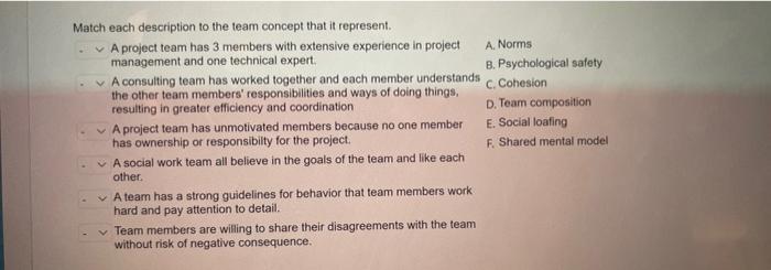 Match each description to the team concept that