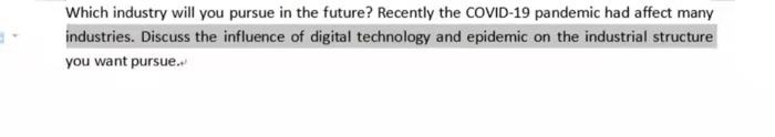 Which industry will you pursue in the future?