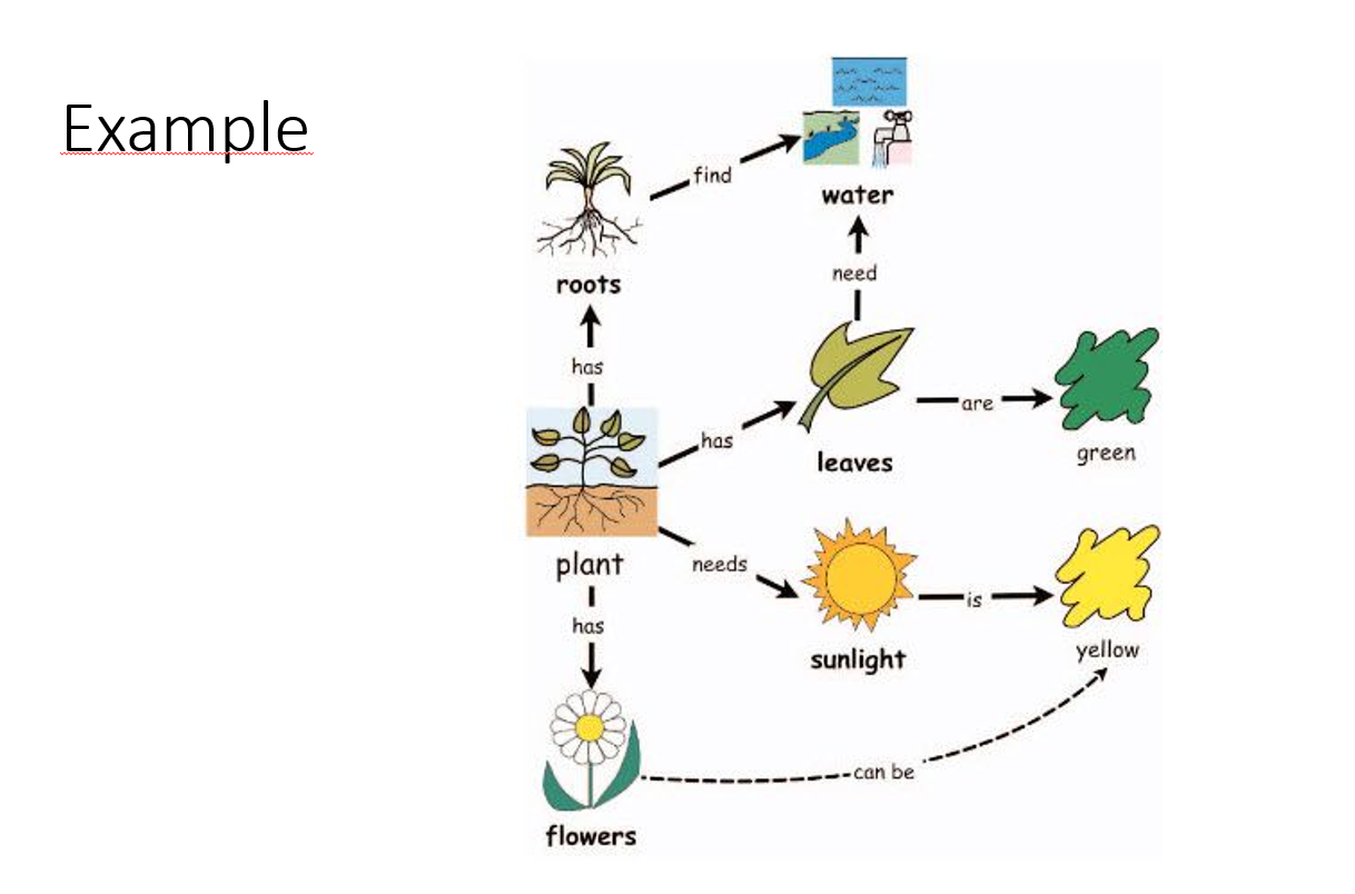 Please create a process map using one of the