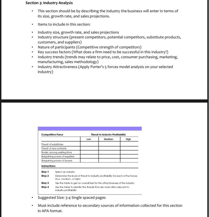 for drone delivery my business plan about drone