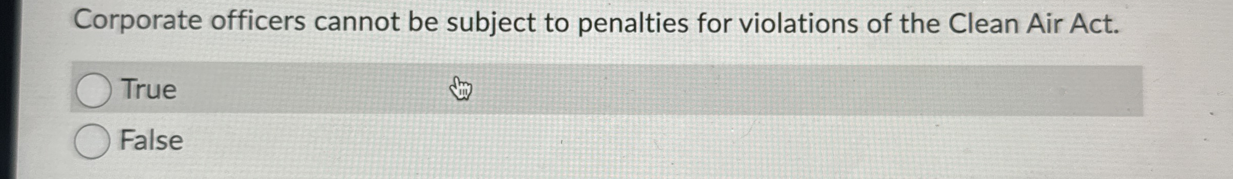 Corporate officers cannot be subject to penalties