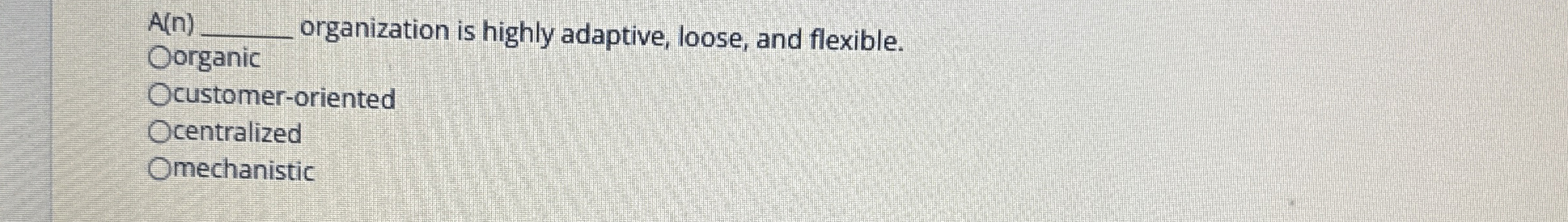A ( n ) organization is highly adaptive, loose,