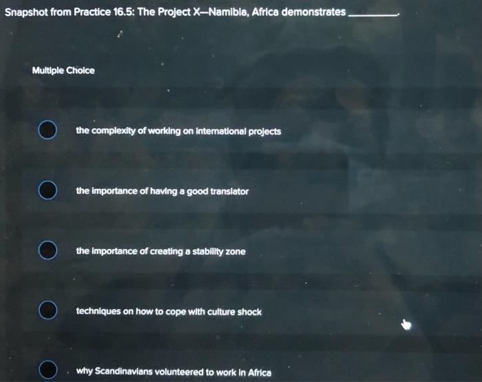 Snapshot from Practice 16.5: The Project