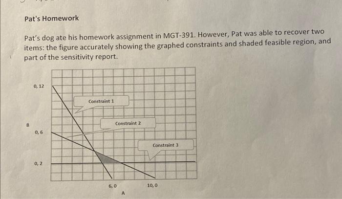 what is the optimal solution? Pat's Homework