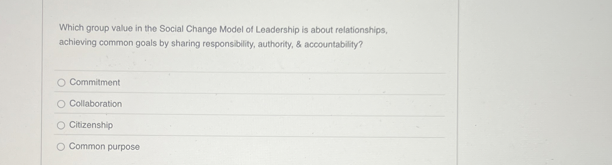Which group value in the Social Change Model of