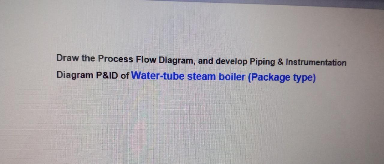 Draw the Process Flow Diagram, and develop Piping