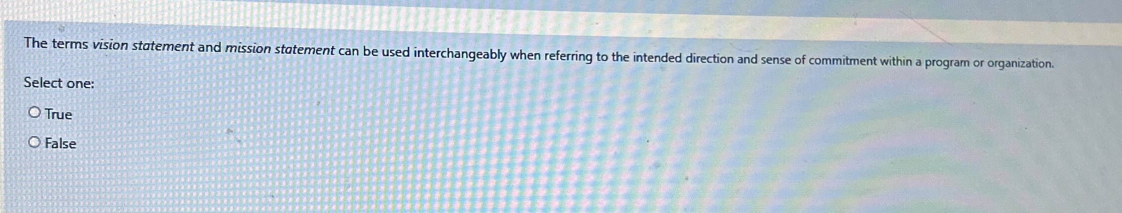 The terms vision statement and mission statement