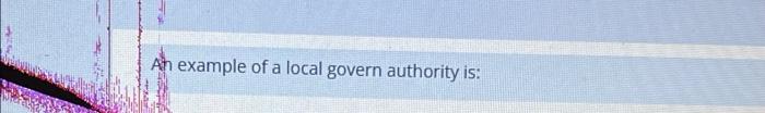 An example of a local govern authority is