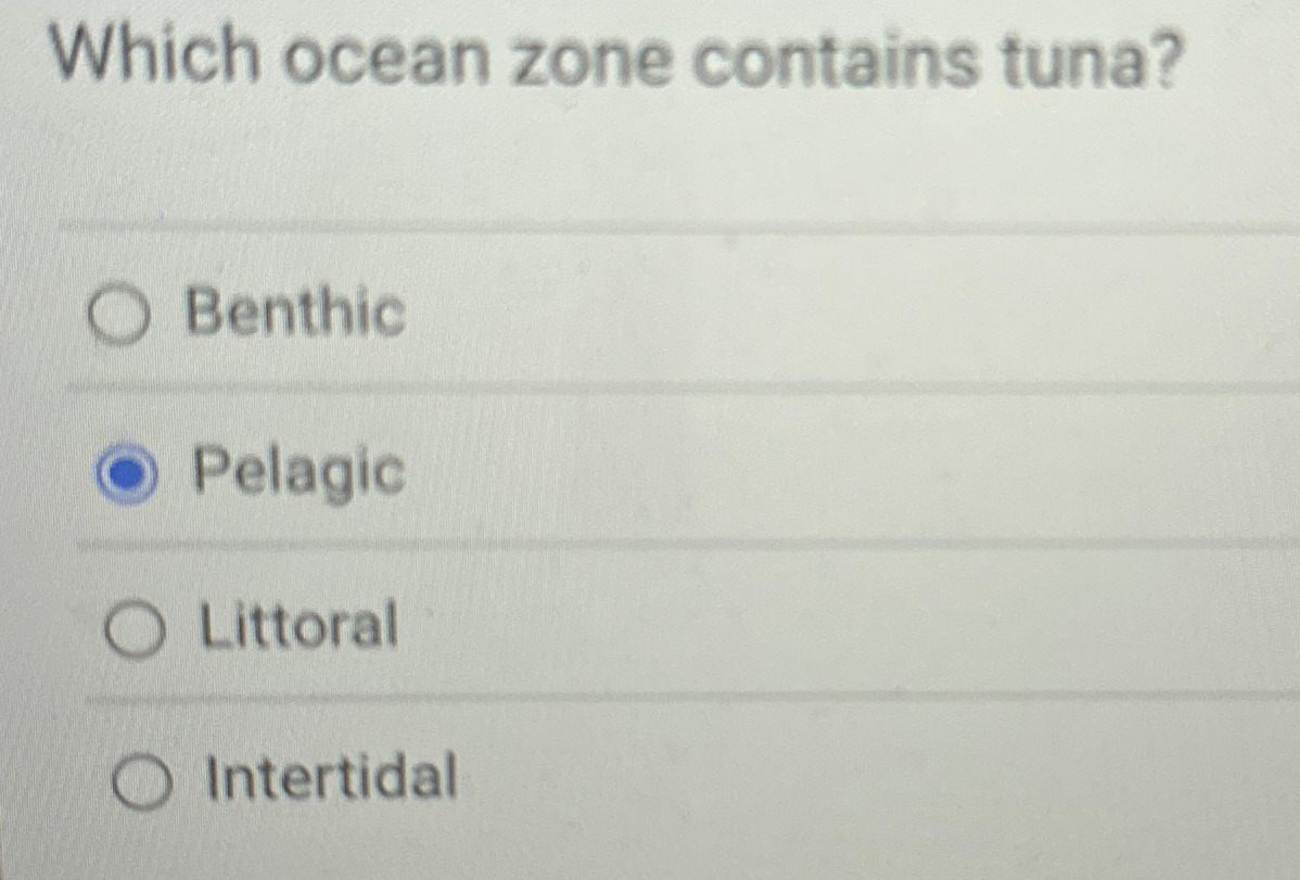 Which ocean zone contains tuna? Benthic Pelagic