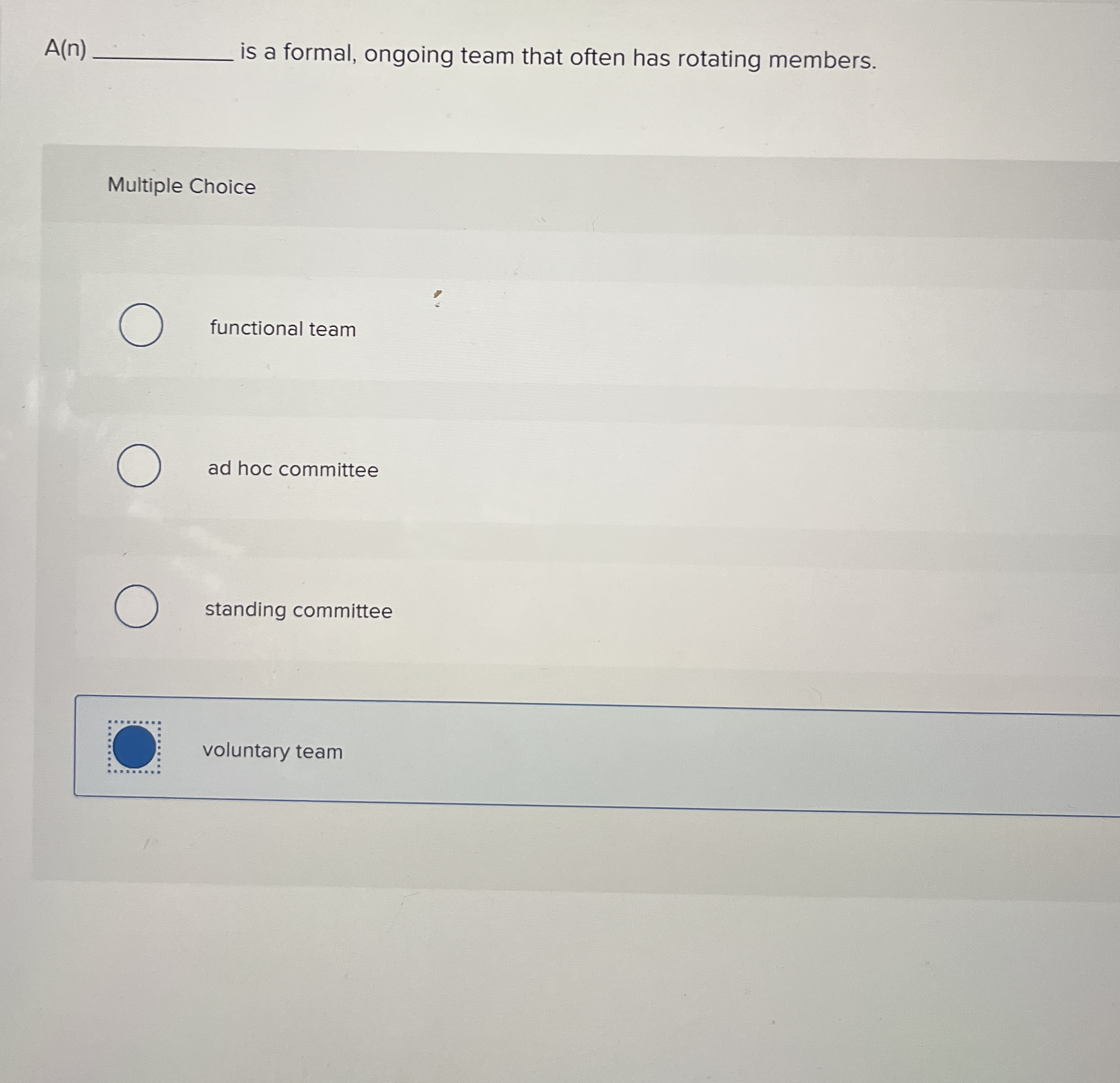 A ( n ) is a formal, ongoing team that often has