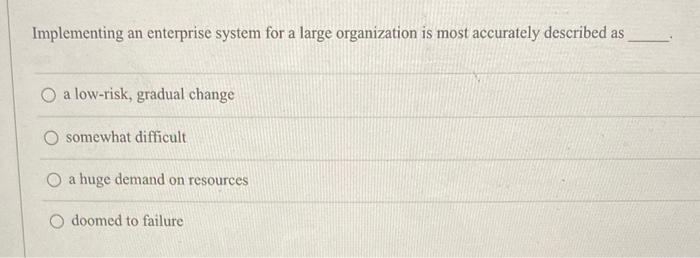 Implementing an enterprise system for a large