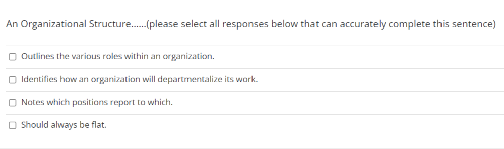 An Organizational Structure......(please select