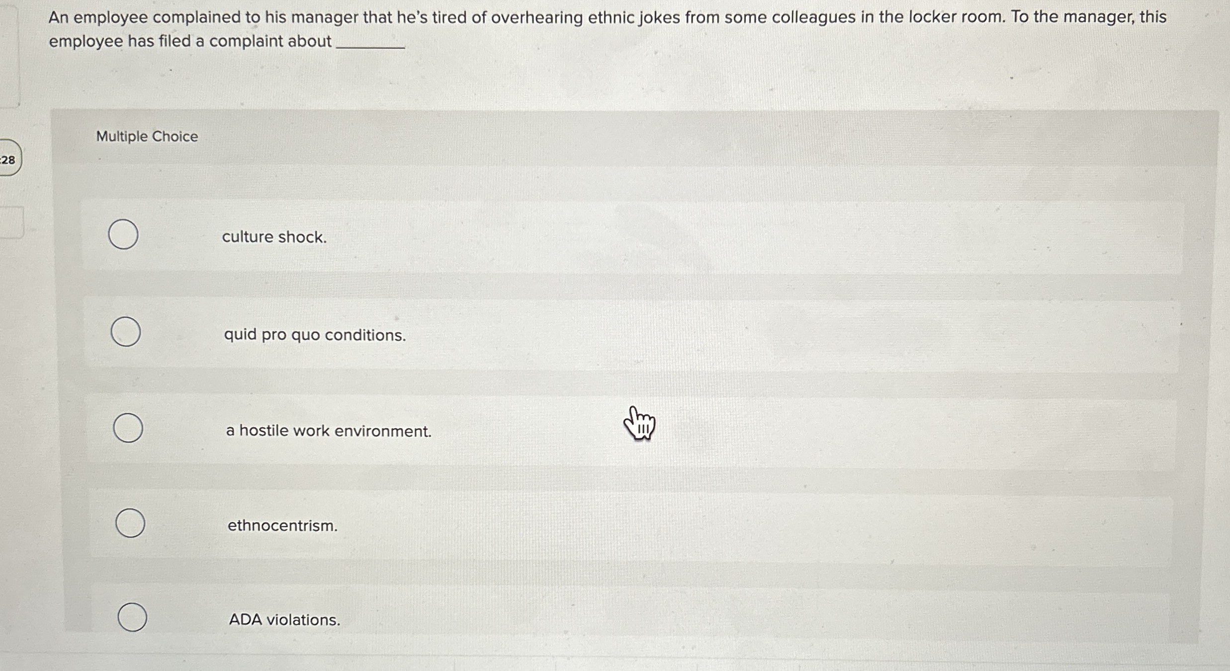 What is the responsibility of a chief information