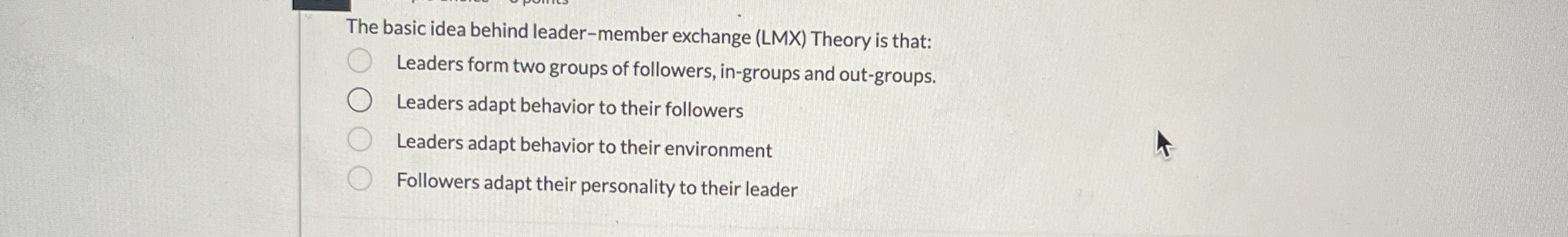 The basic idea behind leader - member exchange (