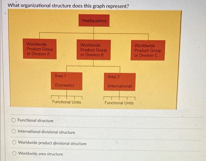 What organizational structure does this graph